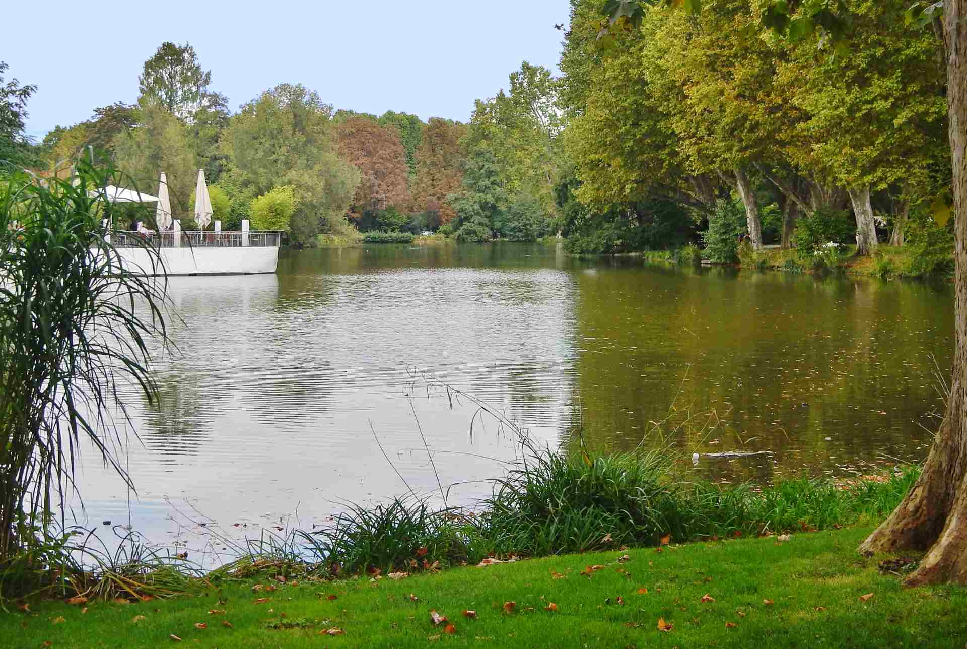 Wikipedia-Mittlerer-Schloßgarten-CROP-1920px